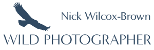 WildPhotographer Home